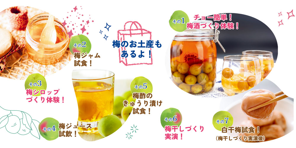 南高梅を使ったさまざまな体験が楽しめます!