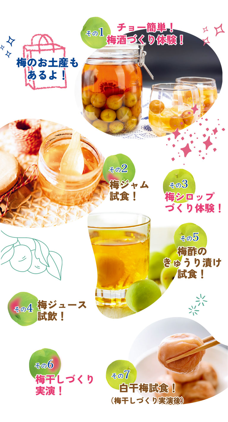 南高梅を使ったさまざまな体験が楽しめます!